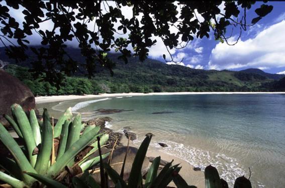 Recanto Tangara - Chale - Praia Do Felix Ubatuba Exteriér fotografie